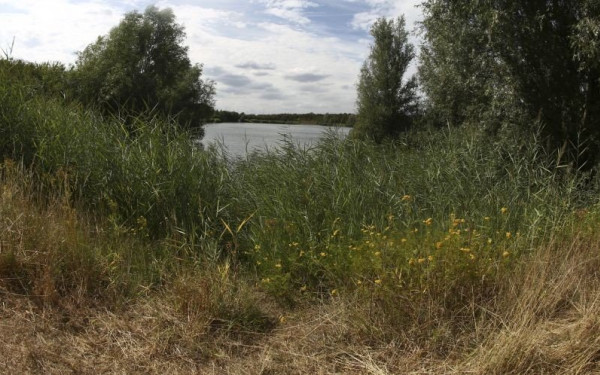 Να αποψιλώνουν και να καθαρίζουν τα οικόπεδά τους υπενθυμίζει στους δημότες ο δήμος Θέρμης