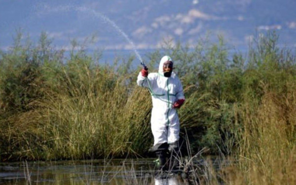 Κεντρική Μακεδονία: Ξεκίνησε η μάχη με τα κουνούπια - Τι δείχνουν τα πρώτα στοιχεία