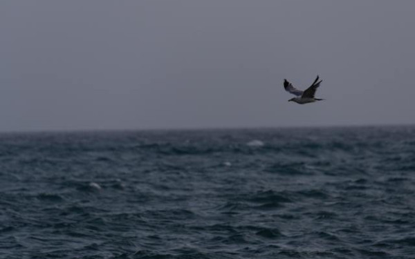 Λιβυκό στρατιωτικό σκάφος άνοιξε πυρ κατά ιταλικού αλιευτικού