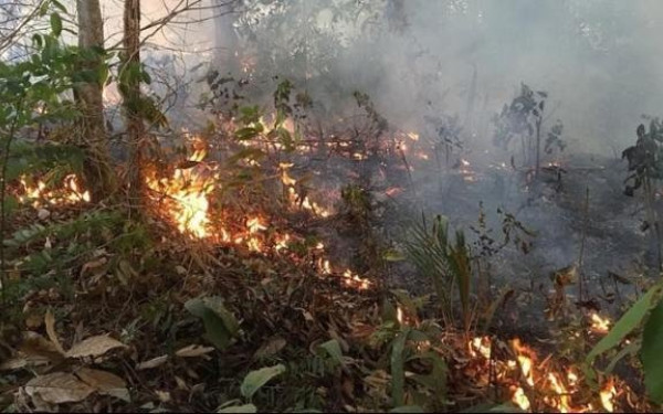 Πυρκαγιές στον Αμαζόνιο: Ο χειρότερος της τελευταίας 12ετίας ο φετινός Αύγουστος