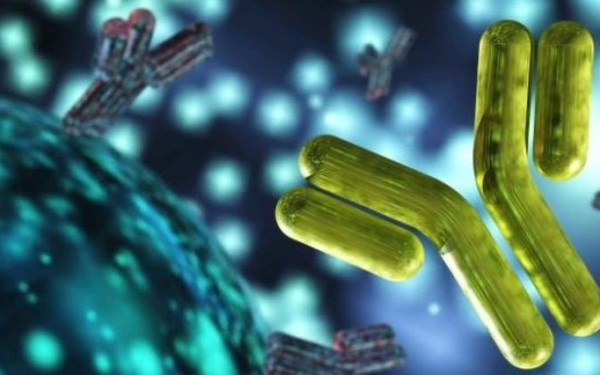 Μονοκλωνικά αντισώματα για Αλτσχάιμερ, Πάρκινσον και πολλαπλή Σκλήρυνση αναζητούν Έλληνες από τις ΗΠΑ