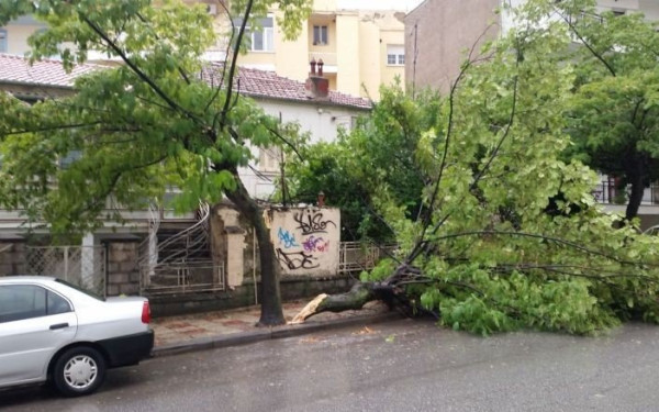 «Φύσηξε» προβλήματα ο Βαρδάρης: Έπεσαν δέντρα και σκεπή κτίσματος - Διακοπές ηλεκτροδότησης στη Θεσσαλονίκη (βίντεο)