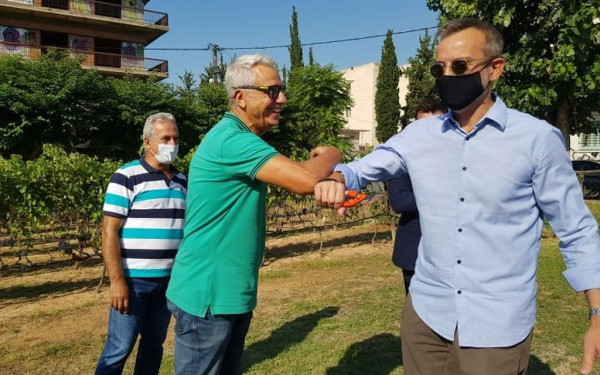 Θεσσαλονίκη: Τρύγος στον δημοτικό αμπελώνα (βίντεο, φωτ.)