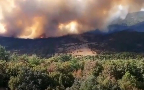Έβρος: Λεπτοκαρυά, Δαδιά και Τρεις Βρύσες τα ενεργά μέτωπα