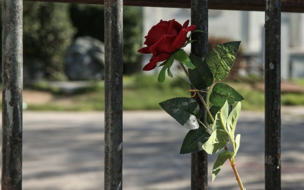 Θεσσαλονίκη: Απομακρύνονται οι κάδοι απορριμμάτων από το κέντρο για τη 17 Νοέμβρη