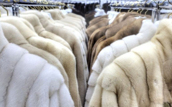 Καστοριά: Τους έπιασαν με... τις γούνες στην πλάτη