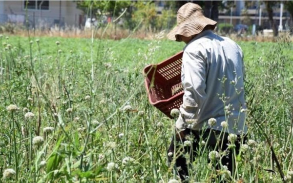 Κέρκυρα: Σκοτώθηκε εργάτης γης από ηλεκτροπληξία στον Σπαρτύλα