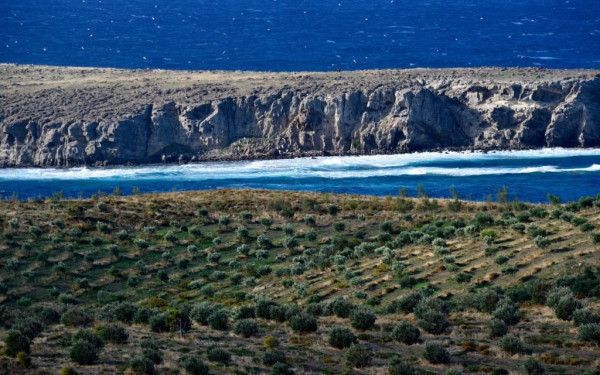 ΟΠΕΚΕΠΕ: Άρχισε η εκκαθάριση πληρωμής του μέτρου 10 «Αγροπεριβαλλοντικά μέτρα»