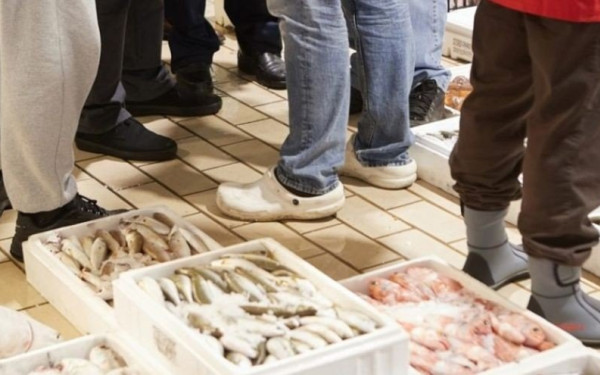 Θεσσαλονίκη: Εκατοντάδες κιλά αλιευμάτων κατασχέθηκαν στην ιχθυόσκαλα Ν. Μηχανιώνας