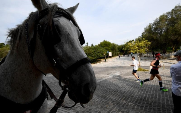 Τρίκαλα: ΙΧ συγκρούστηκε με άλογο και το σκότωσε 