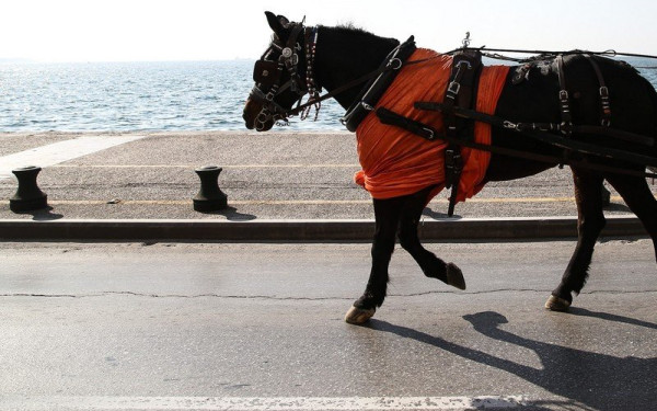 Άμαξες και άλογα αντί... λεωφορείων (βίντεο) 