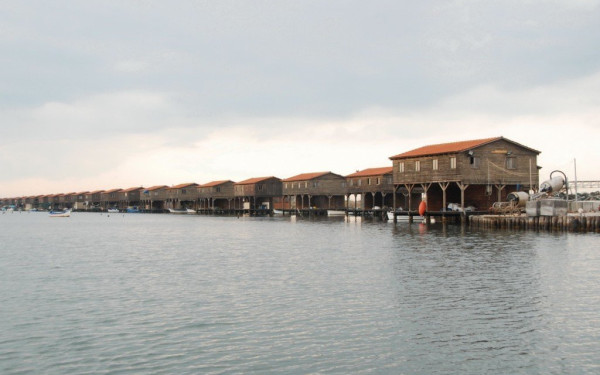 Θεσσαλονίκη - Ν.Μάλγαρα: Σε «φουρτούνα» λόγω και της κλιματικής κρίσης η μυδοκαλλιέργεια