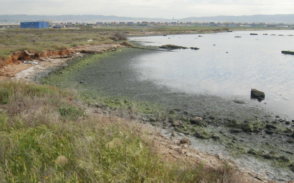 Βρέθηκε πτώμα χωρίς πόδια και κεφάλι στο Καλοχώρι