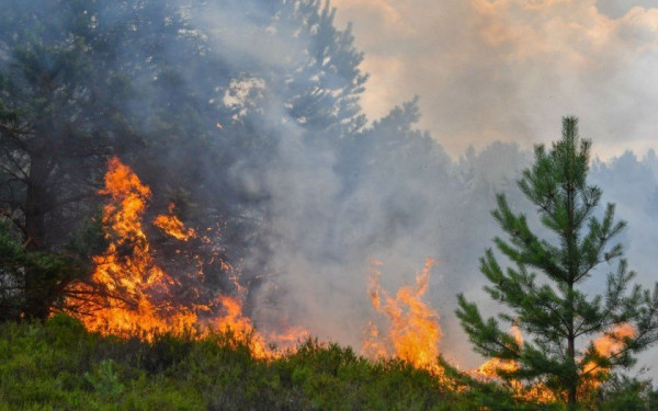 Πυρκαγιές: «Πορτοκαλί» συναγερμός για 8 Περιφέρειες - Συναγερμός και στη Χαλκιδική