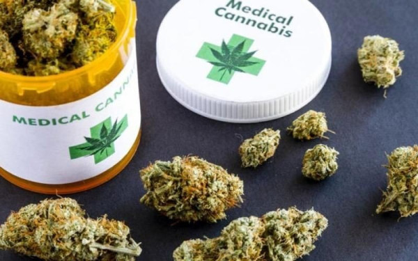 Η φαρμακευτική κάνναβη στη μάχη κατά του καρκίνου 