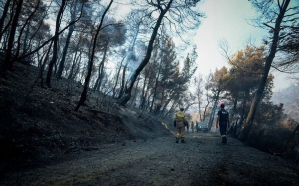 Β. Κικίλιας: Μετά από 50 χρόνια μπαίνουμε με τους ειδικούς στα δάση της Αττικής για να κάνουμε αντιπυρικές ζώνες