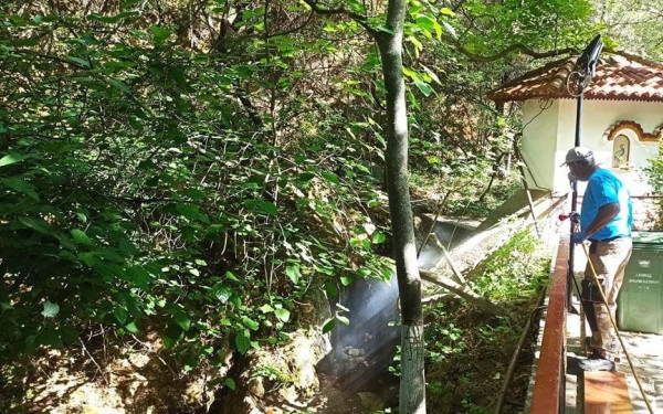 Σε εξέλιξη πρόγραμμα καταπολέμησης κουνουπιών στο Δήμο Ωραιοκάστρου