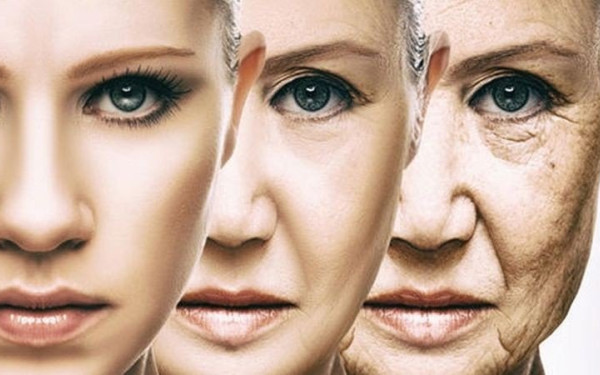 Στο «φως» νέος μοριακός μηχανισμός που ρυθμίζει τη γήρανση και την αναπαραγωγή 