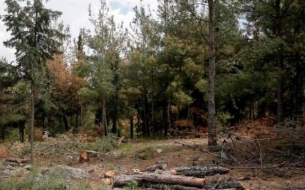 Ξεκινά σήμερα ο καθαρισμός του Σέιχ Σου