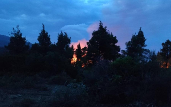 Χαλκιδική: Η εθελοντική ομάδα που έδωσε ολονύχτια μάχη με τη φωτιά στο πλευρό της πυροσβεστικής