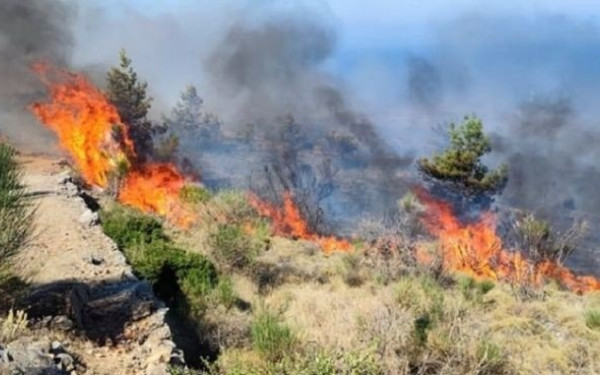 Ξέσπασε πυρκαγιά σε δάσος της Αιτωλοακαρνανίας 