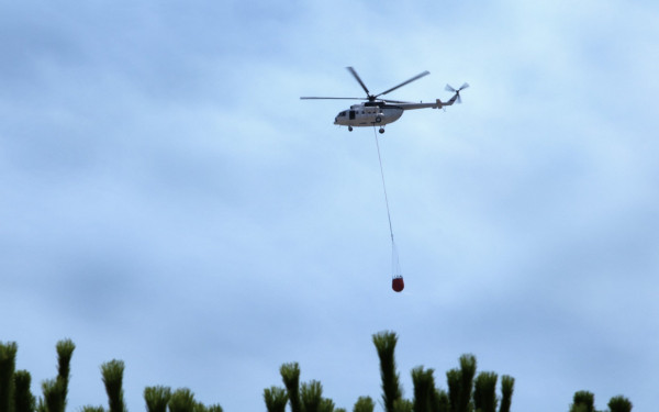 Ναυπακτία: Υπό μερικό έλεγχο η πυρκαγιά σε δασική έκταση στην περιοχή της Τερψιθέας