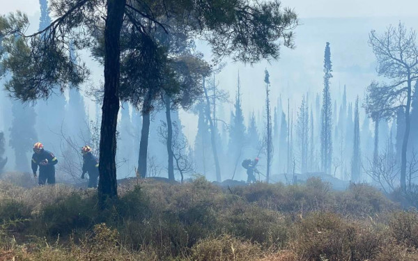 Θεσσαλονίκη: SOS  για το Σέιχ Σου εκπέμπουν κάτοικοι των Πεύκων