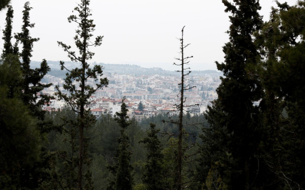  «Ξεπαγώνει» το σχέδιο για φορέα στο Σέιχ Σου