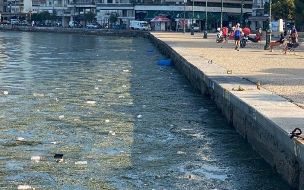 Τραγική η κατάσταση στον Θερμαϊκό: Απομακρύνονται μέχρι και 1.000 κιλά σκουπιδιών την ημέρα