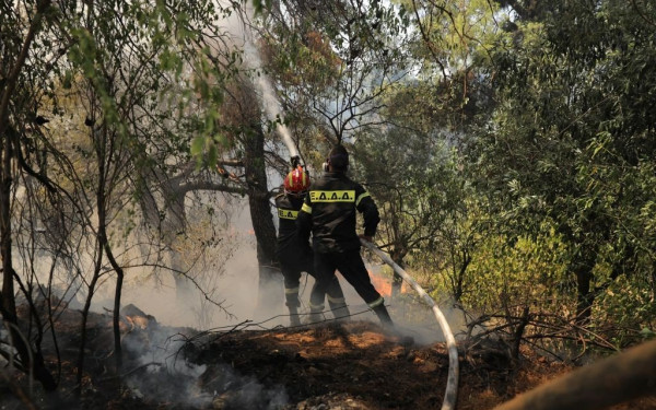 Συναγερμός για τον κίνδυνο φωτιάς σε 6 περιφέρειες – Σε ετοιμότητα επιπέδου 4 οι δυνάμεις Πολιτικής Προστασίας