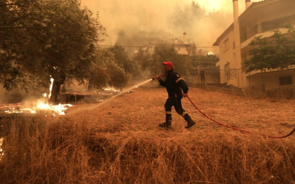 Εύβοια: 17χρονος καταγράφηκε να βάζει φωτιά σε θάμνο στα Ψαχνά - Τον κατήγγειλε η μητέρα του