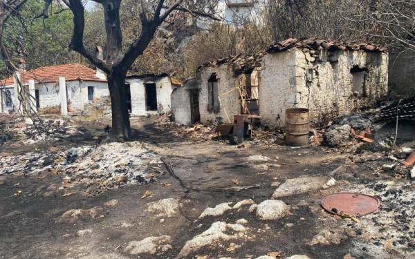 Μ. Χατζηγιαννάκης: Ποιος έδωσε εντολή μη κατάσβεσης της πυρκαγιάς στην Εύβοια;