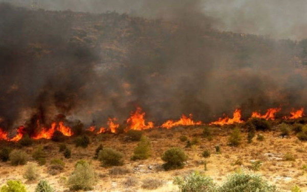 Στον εισαγγελέα ο 87χρονος που συνελήφθη να βάζει φωτιά στον Άγιο Στέφανο: Tι ισχυρίστηκε