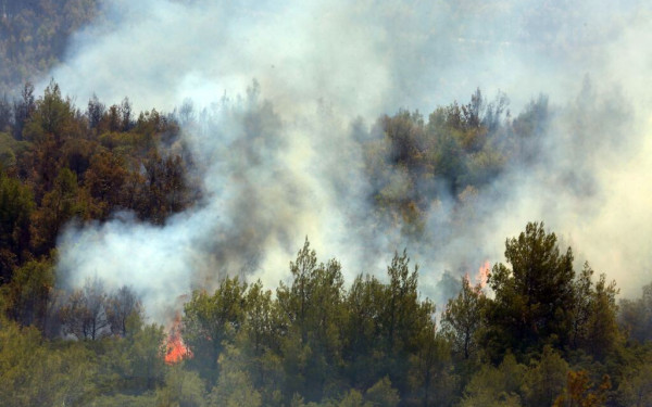 Νύχτα αγωνίας στα φλεγόμενα Βίλια - Δεν σταματούν οι αναζωπυρώσεις (βίντεο & φωτ.)