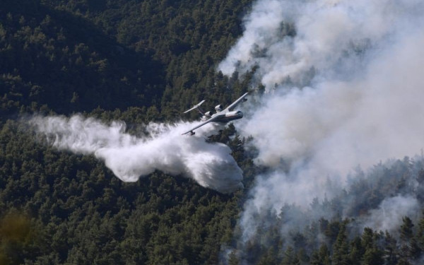 Μάχη με τις φλόγες στην Αττική: Τεράστιο το μέτωπο στα Βίλια - Μικρές αναζωπυρώσεις σε Κερατέα (Βίντεο)