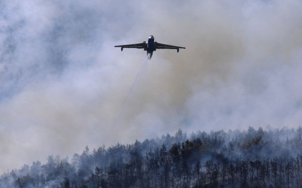 Συναγερμός στην Πυροσβεστική για φωτιά στην Τανάγρα Βοιωτίας - Δεν απειλεί κατοικίες