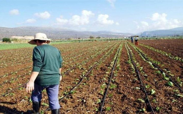 Βόρεια Ελλάδα: Επενδύουμε σε γεωργία, δασοκομία, αλιεία