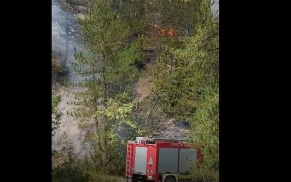 Έσβησε η πυρκαγιά στον Γράμμο (βίντεο)