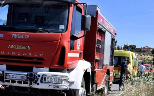 Ρέθυμνο: Δεκάδες αμνοερίφια πέθαναν από ασφυξία έπειτα από φωτιά σε αποθήκη ζωοτροφών