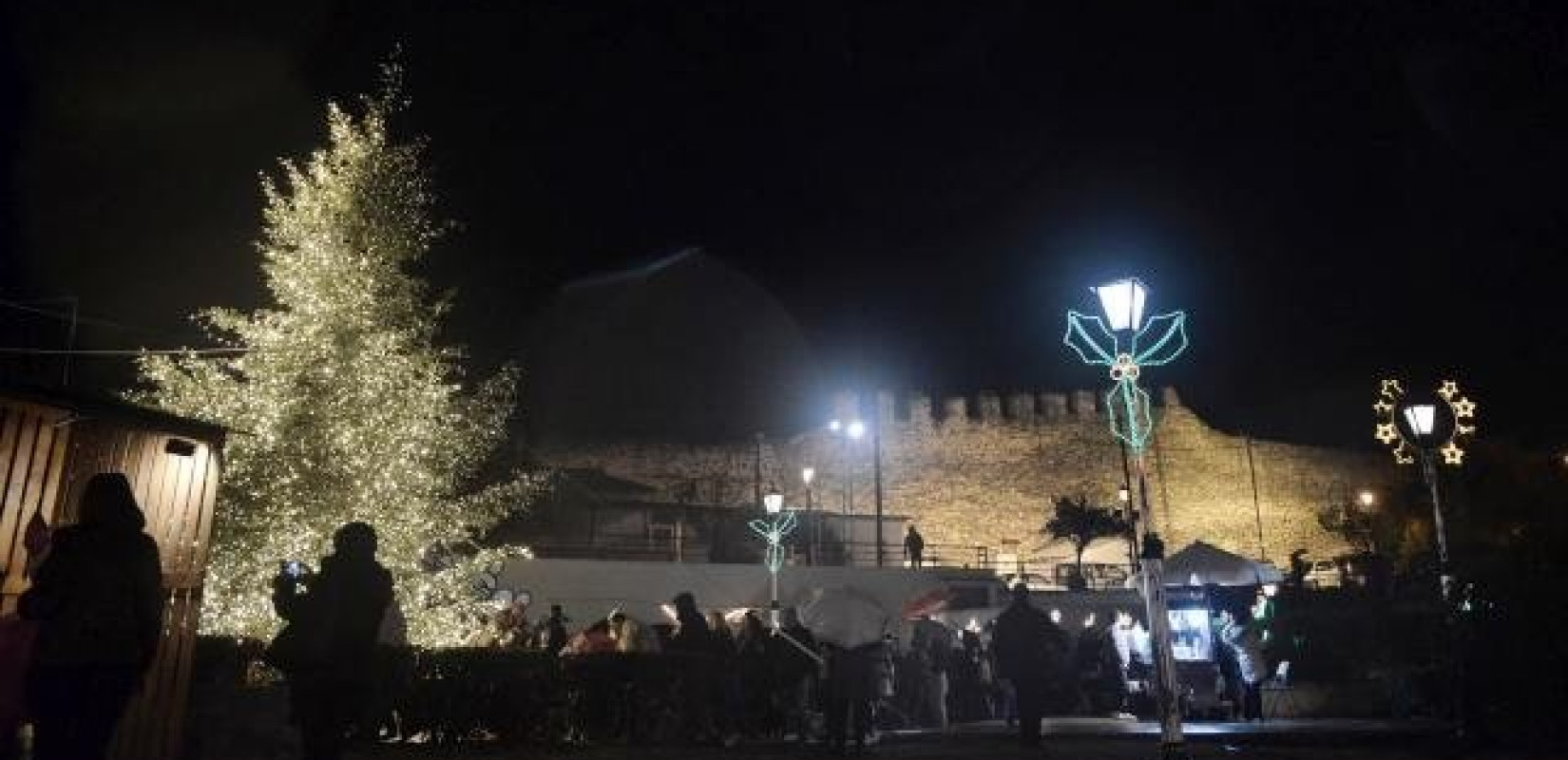 Τα χριστουγεννιάτικα δέντρα... επιστρέφουν στα δάση