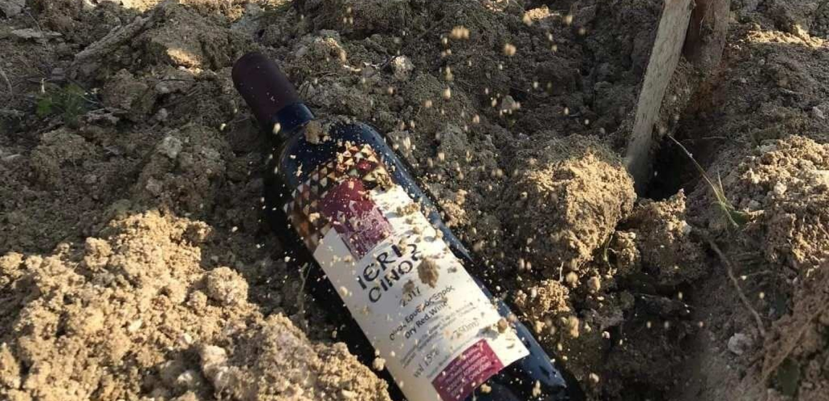 Χαλκιδική: "Φυτεύουν" μπουκάλια με κρασί για υπεδάφια παλαίωση (φωτ.)