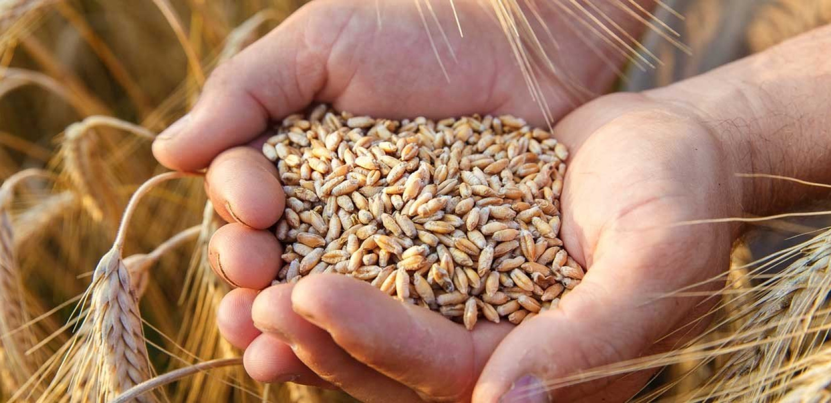 Ολλανδία: Θα επιτρέψει την αποστολή 20.000 τόνων ρωσικών λιπασμάτων στο Μαλάουι