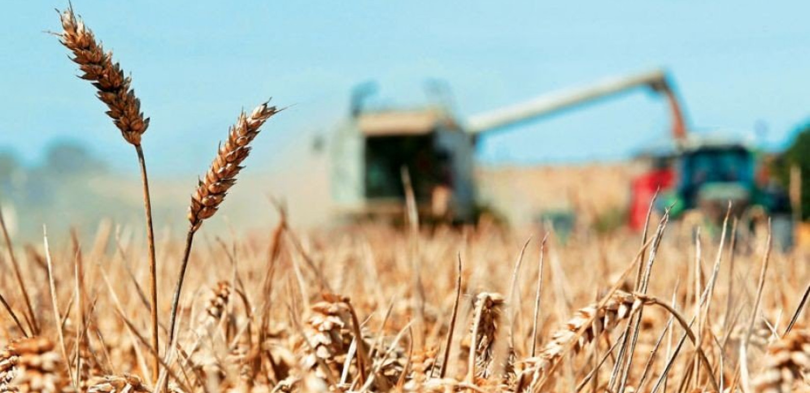 Κωνσταντινούπολη: Πρόοδος στις συζητήσεις για τη συμφωνία της Μαύρης Θάλασσας για τα σιτηρά