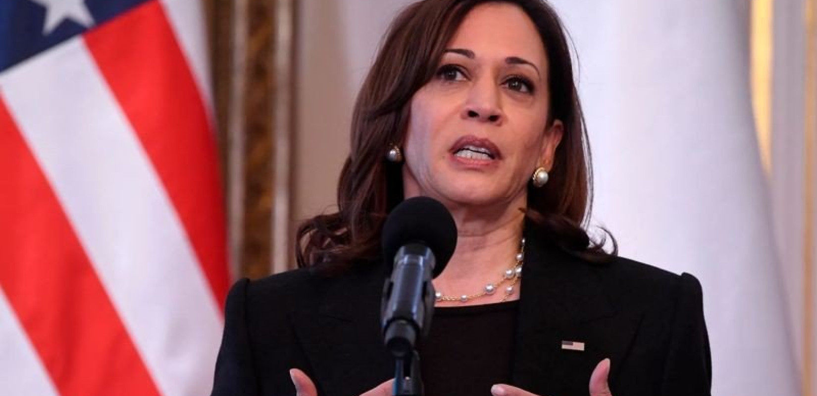 ΗΠΑ: Η Κάμαλα Χάρις θα αντικαταστήσει τον Τζο Μπάιντεν στη σύνοδο κορυφής του APEC