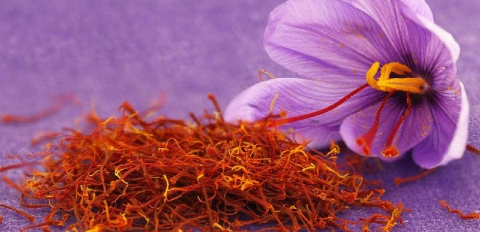 Οι επιστήμονες αποφάνθηκαν: Ο κρόκος, το πιο ακριβό μπαχαρικό στον κόσμο, κατάγεται από την Ελλάδα
