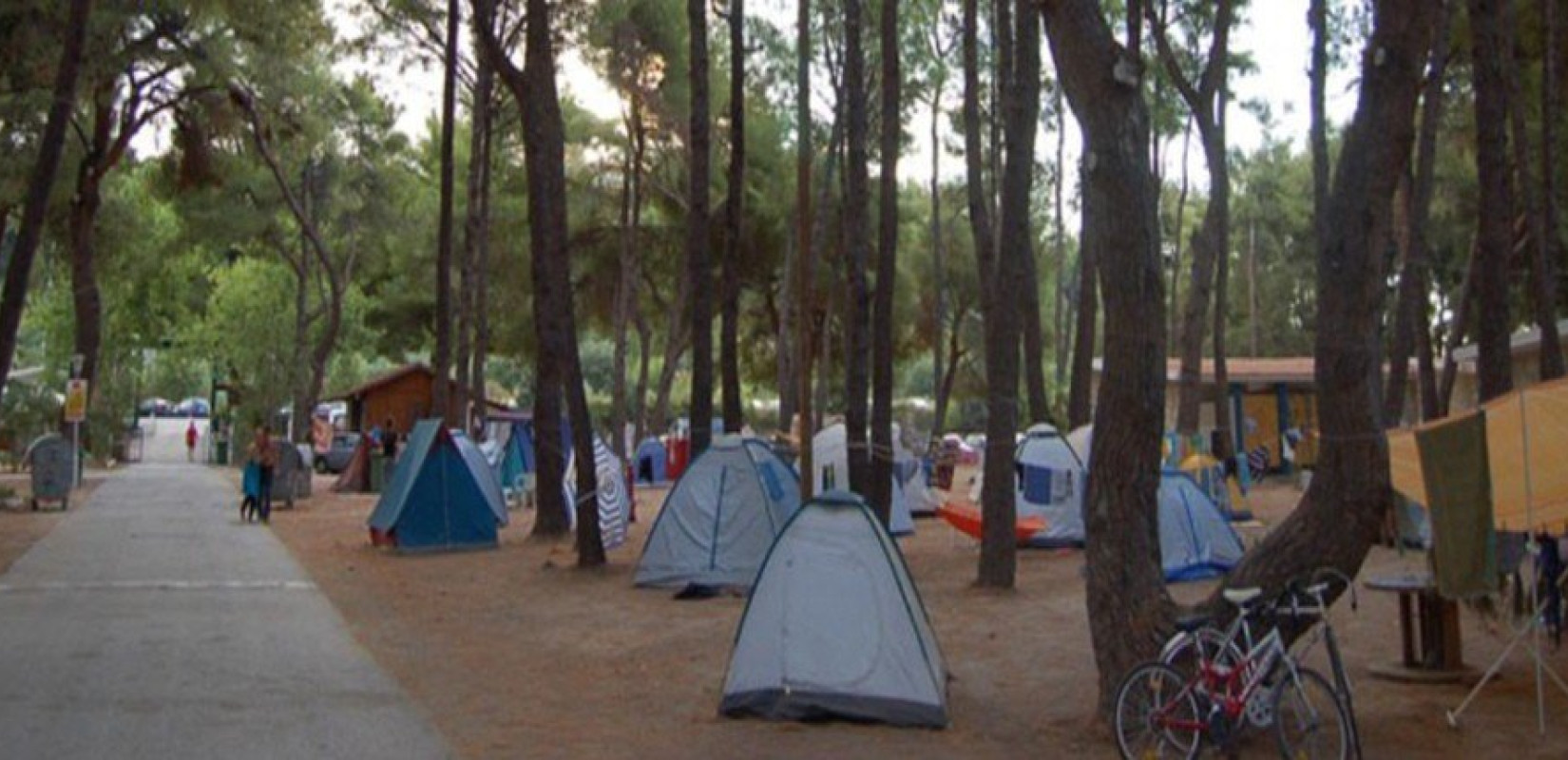 Επίσημο: Ανοίγει η φοιτητική κατασκήνωση του ΑΠΘ 