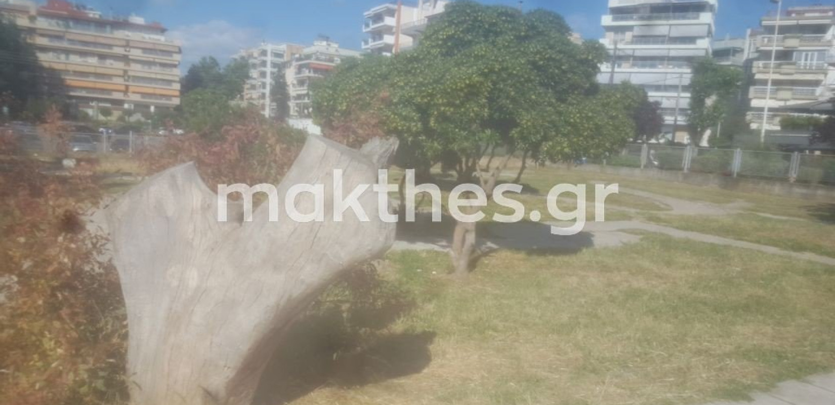 Καλαμαριά: Το πάρκο της Σοφούλη κινδυνεύει με ανοικοδόμηση - Υπογραφές μαζεύουν οι κάτοικοι  (φωτ.)