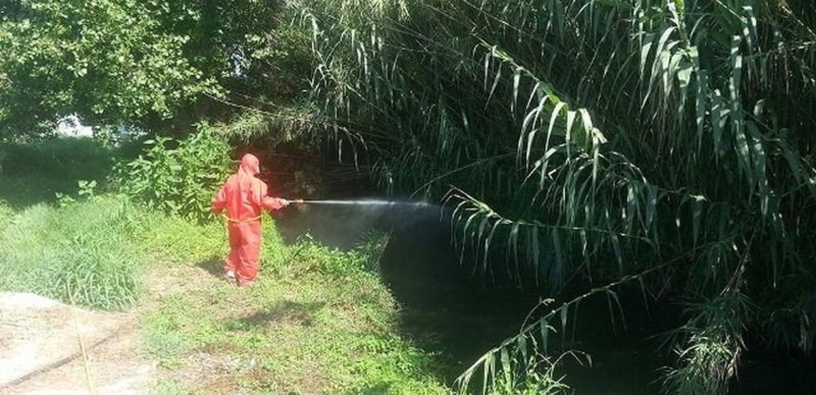 ΕΕ: Η Κομισιόν ανανεώνει την άδεια χρήσης ζιζανιοκτόνου με γλυφοσάτη για δέκα χρόνια
