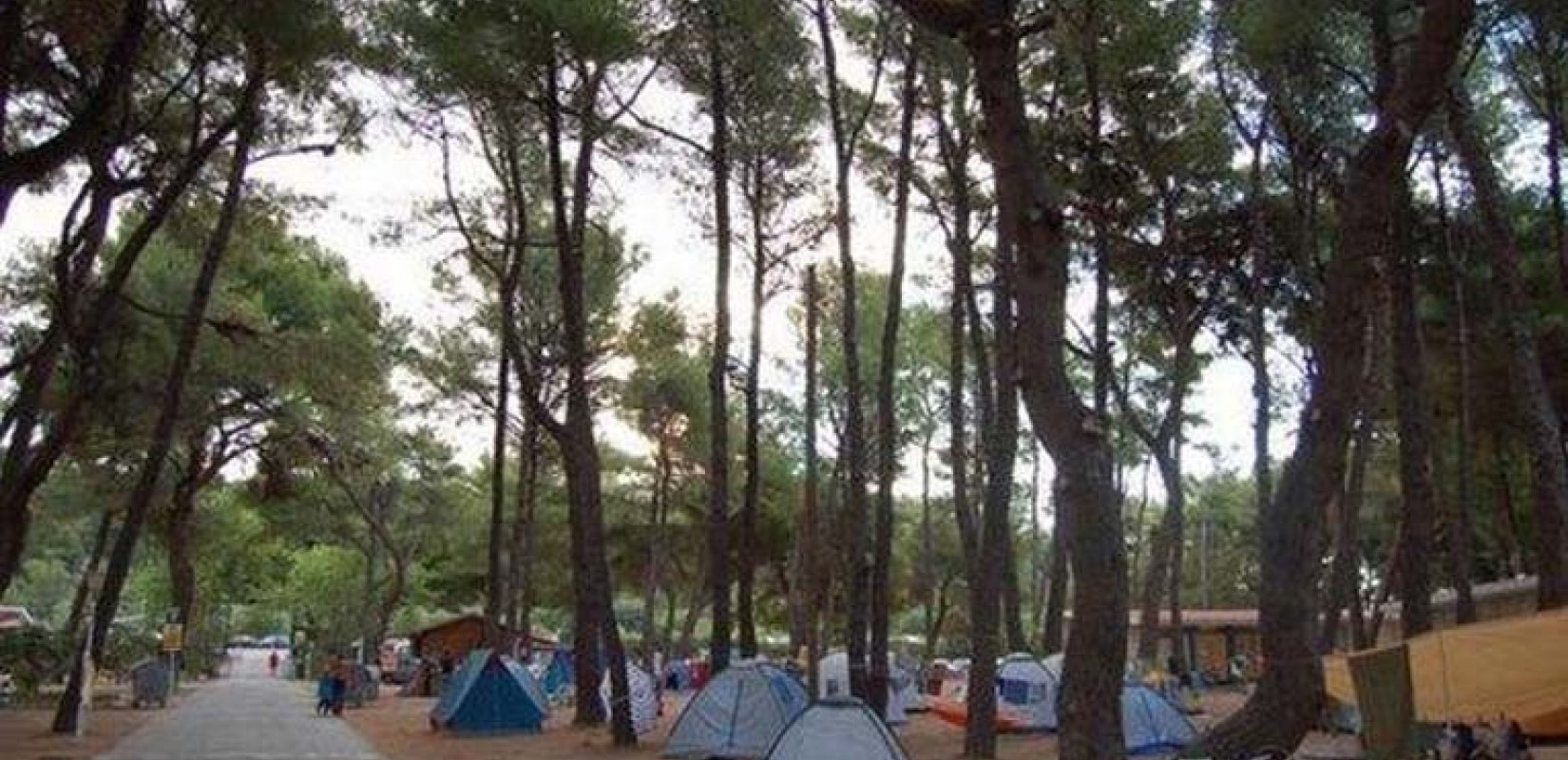 Κατασκηνώσεις ΔΥΠΑ: Περισσότερες από 35.000 αιτήσεις έχουν υποβληθεί έως τώρα