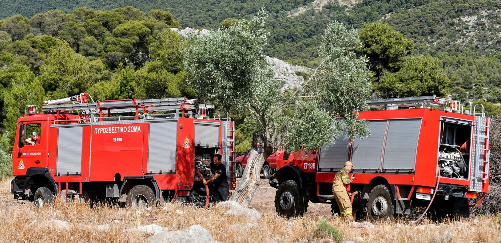 Σε γενική επιφυλακή η Πυροσβεστική: Μάχη με τρία πύρινα μέτωπα σε Αττική και Βοιωτία